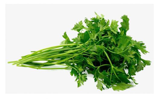 နံနံပင်