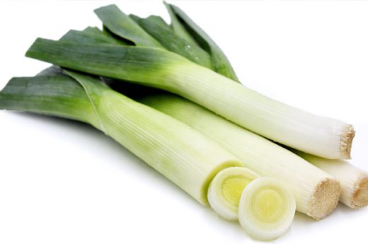 ကြက်သွန်မြိတ်